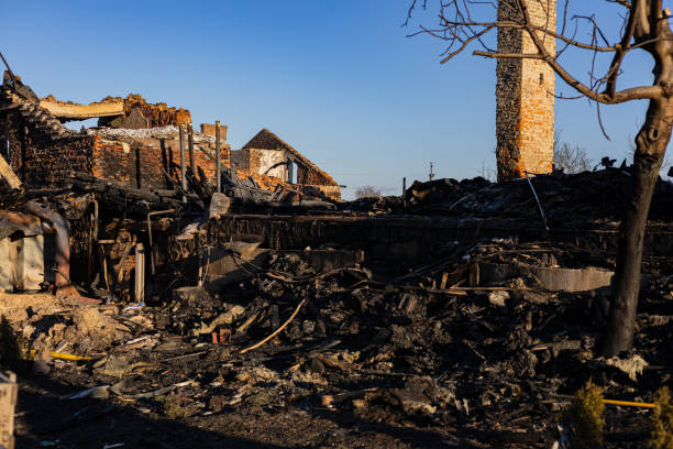 Reliable Content Restoration contractor in Palm Harbor, FL by Fire Damage Doption
